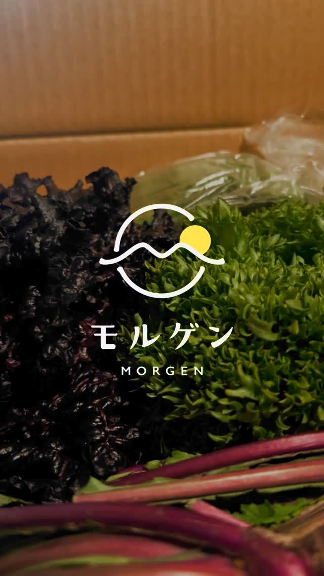 質の良い野菜は、シンプルに幸福感に繋がります。
モルゲンでは神奈川県、三浦半島の「青木農園」から野菜を仕入れております。
富士山から美味しく冷たい空気が流れ、海からの潮風を受け…絶景に包まれた土地には、ミネラル豊富な土壌、「黒土」「赤土」があり、美味しく冷たい空気が流れ豊富なミネラルを頂き自然の恩恵をたくさん受けて育ちます。
多くの高級レストランや百貨店でも扱われている青木農園のお野菜。
プロの料理人から信頼され、選ばれ続ける味と鮮度を誇ります。
⁡
ぜひ、シンプルにお塩で召し上がってください✨
本当に美味しいお野菜の天然のあまみに、心の底からたっぷり満たされます😉
⁡
──────────────⠀
池袋/モルゲン 池袋西口店 ⠀
@morgen_ikebukuro ⠀
　　✺⠀
住所:171-0014 ⠀
東京都豊島区池袋⠀
２丁目４１−２ 葉山ビル 8階⠀
　　✺⠀
営業時間:⠀
月・火・水・木⠀
18:00 - 23:00⠀
金・土・日・祝日⠀
17:00 - 23:00⠀
　　✺⠀
定休日:なし⠀
　　✺⠀
座席:45席⠀
　　✺⠀
支払い方法:現金、カード可⠀
（VISA、Master、JCB、AMEX、Diners）⠀
電子マネー可⠀
（交通系電子マネー（Suicaなど）、nanaco、iD、QUICPay）⠀
QRコード決済可⠀
（PayPay、d払い、楽天ペイ、au PAY）⠀
──────────────⠀
#池袋  #池袋デート #池袋ディナー  #池袋グルメ  #おすすめ #ikebukuro #tokyo⠀#japanesefood